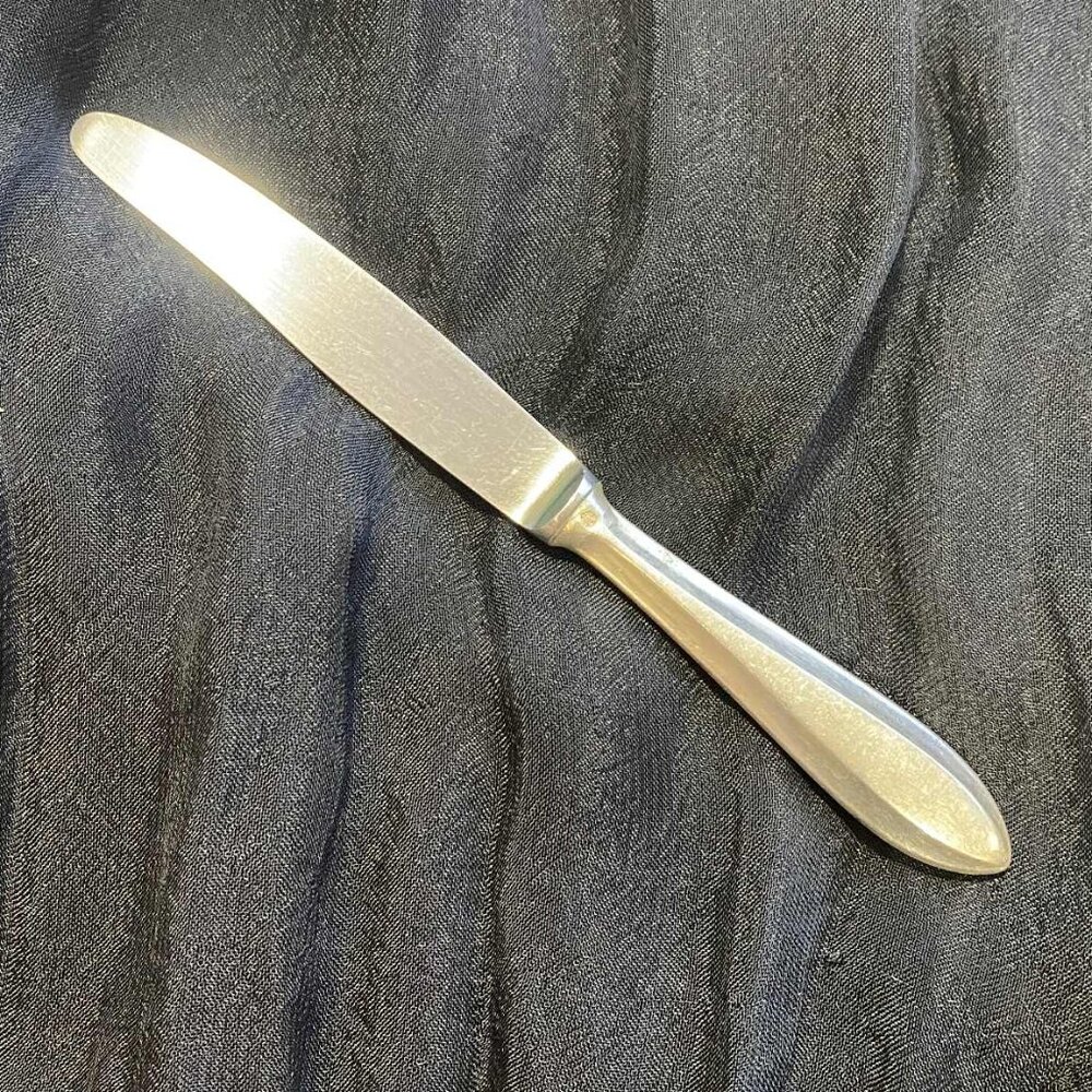 Two Sandrik Anticorro Table Knives